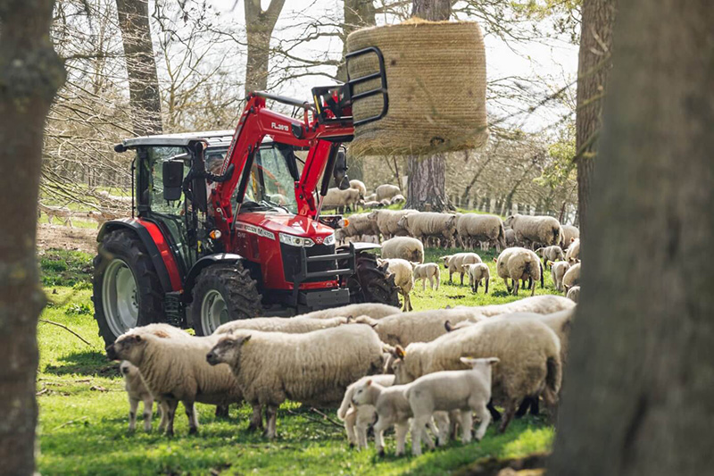 Massey Ferguson Traktor